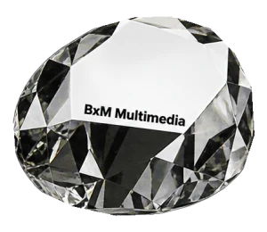 BXM Multimedia award