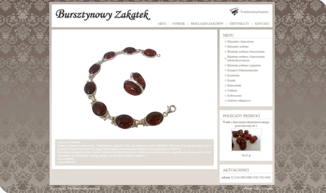 Design of the Amber Zakatek website