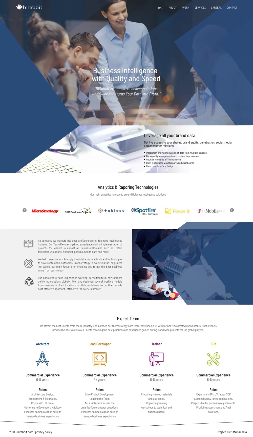 Birabbit.com website design