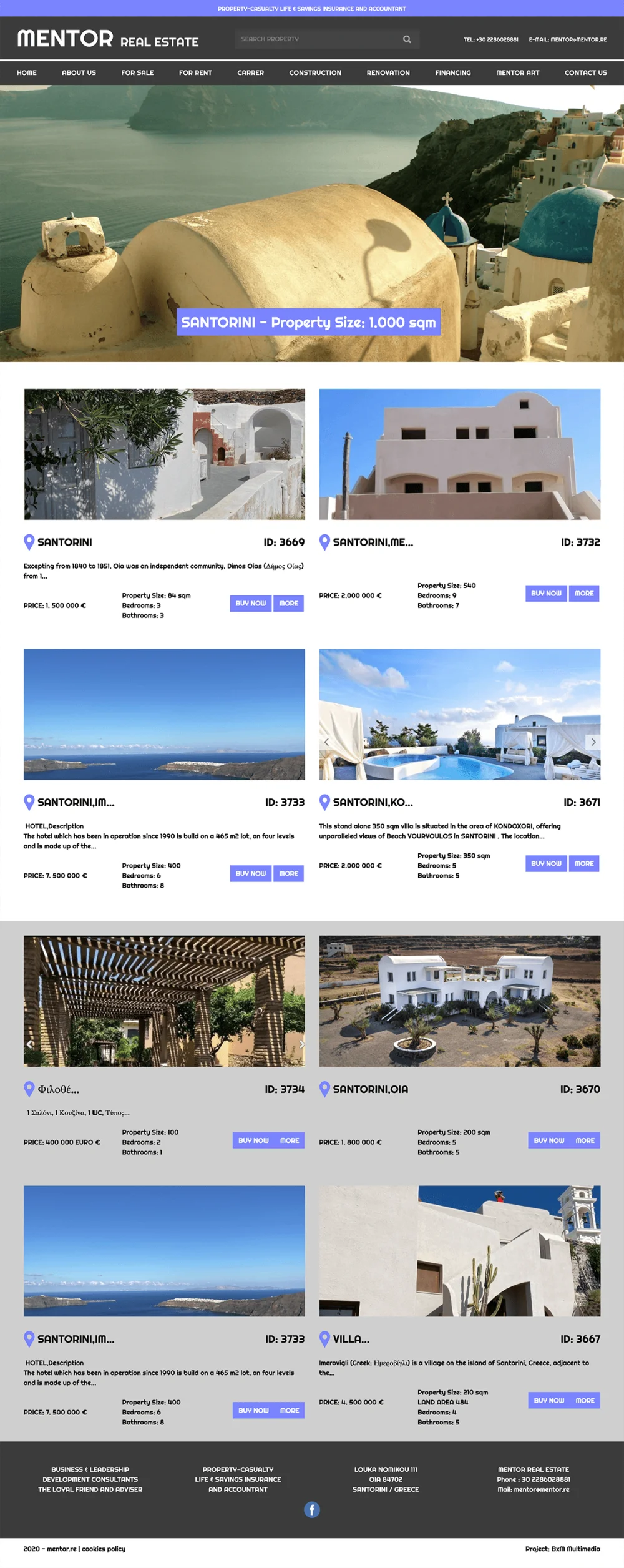 Mentor Real Estate website design