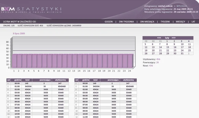 BxM website design Statistics