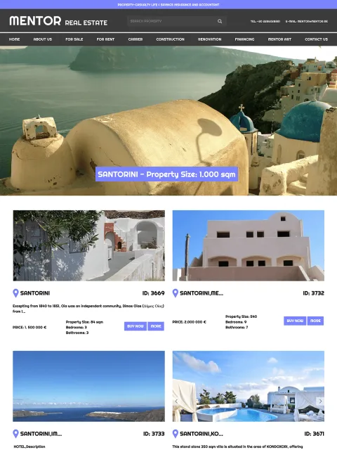 BXM project: Mentor Real Estate, website preview